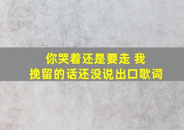 你哭着还是要走 我 挽留的话还没说出口歌词